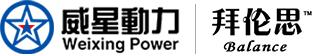 哈尔滨威星动力电源科技开发有限责任公司