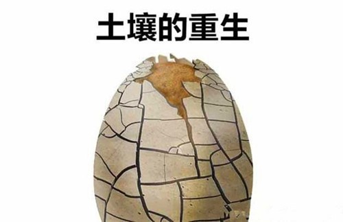 “土十条”效果显现 土壤修复将迎“黄金十年”