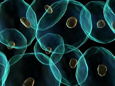 研究员研发出高性能遗传编码荧光探针iNap_科