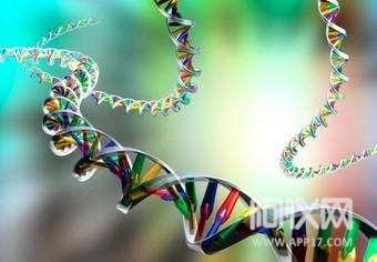 PCR基因扩增仪技术助力我国分子生物学研究
