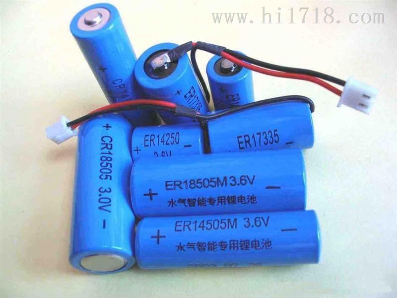 3.6v锂亚电池  ER14335识别卡电池