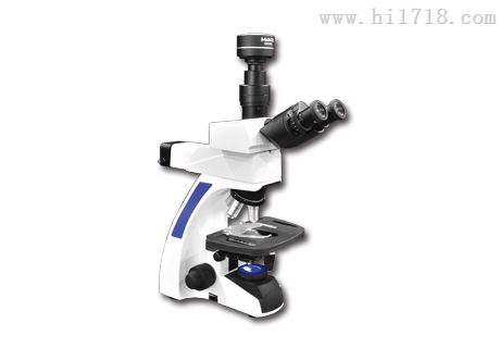 荧光显微镜 生物荧光显微镜MF31