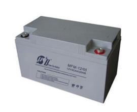 MFM-12/55派士博PSB蓄电池12V55AH价格