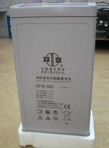 双登蓄电池GFM-300 2V300AH（C10）报价参数