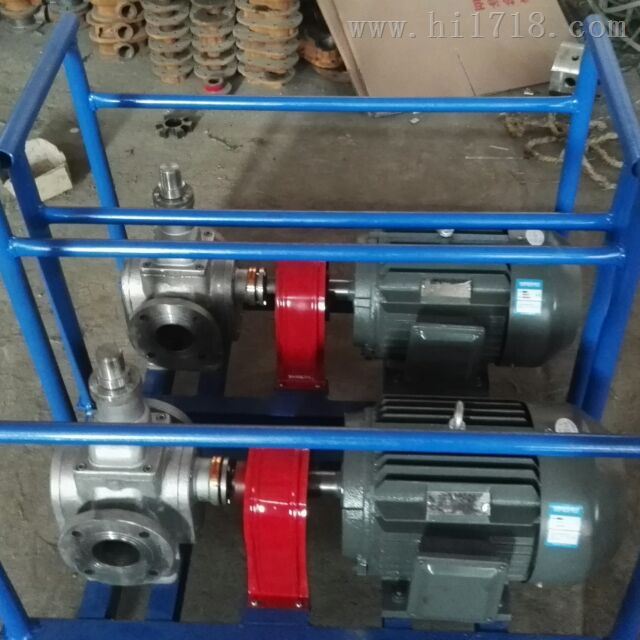不锈钢圆弧齿轮泵-YCB-12/0.6圆弧齿轮泵制造商