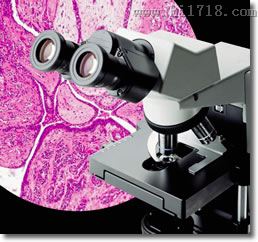 奥林巴斯 CX31生物显微镜