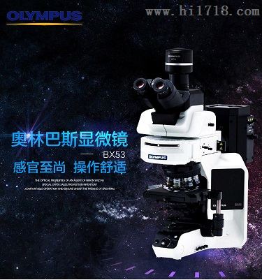 奥林巴斯BX53 生物显微镜