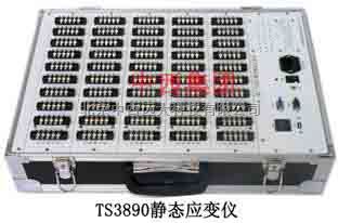 静态电阻应变仪 型号:TS15-TS3890