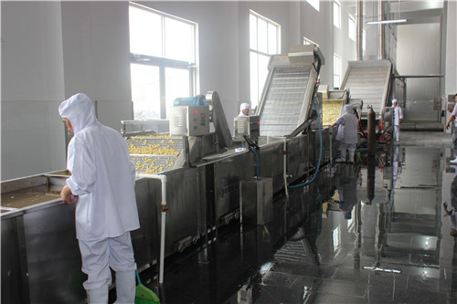 大蒜机械、大蒜加工机械、大蒜加工机械流水线