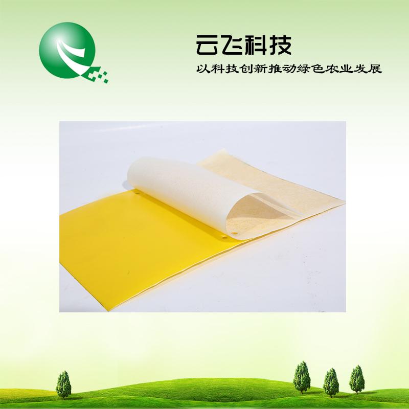 黄色粘虫板厂家  黄板批发  优质黄色粘虫板价格  河南云飞