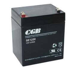 CGB蓄电池SE1250