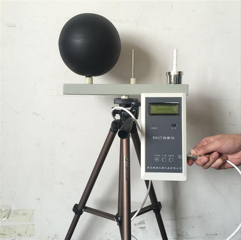  2006湿球黑球温度（WBGT）指数仪