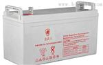 ʿ늳PW65-12 12V65AH rh