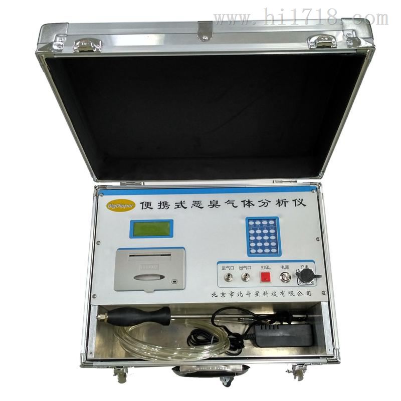 pAir2000-EFF便携式环境恶臭检测仪生产厂家恶臭分析仪