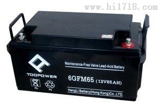 6GFM65天力铅酸蓄电池EPS专用