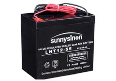 LNT12-55赛能免维护铅酸蓄电池12V超低价供应