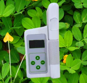 手持直读式叶绿素测定仪直接检测叶绿素含量检测仪价格