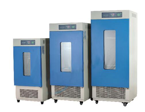 XD-MHP-100霉菌培养箱生产厂家