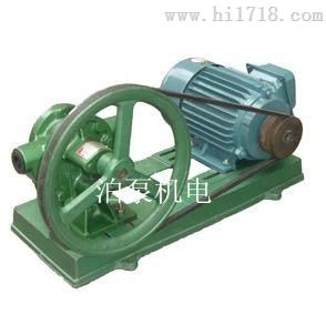 皮带轮齿轮泵-3/4-C,制造商皮带轮齿轮泵泊威