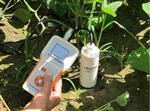 土壤水分速测仪 JZ-TS