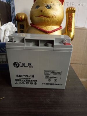 山东圣阳蓄电池SP12-17（厂家）