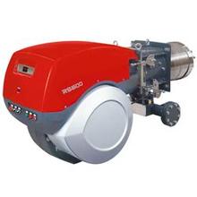 RS300.jpg