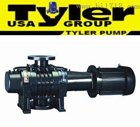 罗茨真空泵|美国泰乐TYLER品牌
