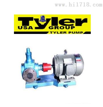 齿轮油泵|美国泰乐TYLER品牌