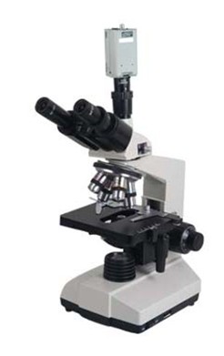 三目生物显微镜XC/SP-8CV河北星晨厂家直销