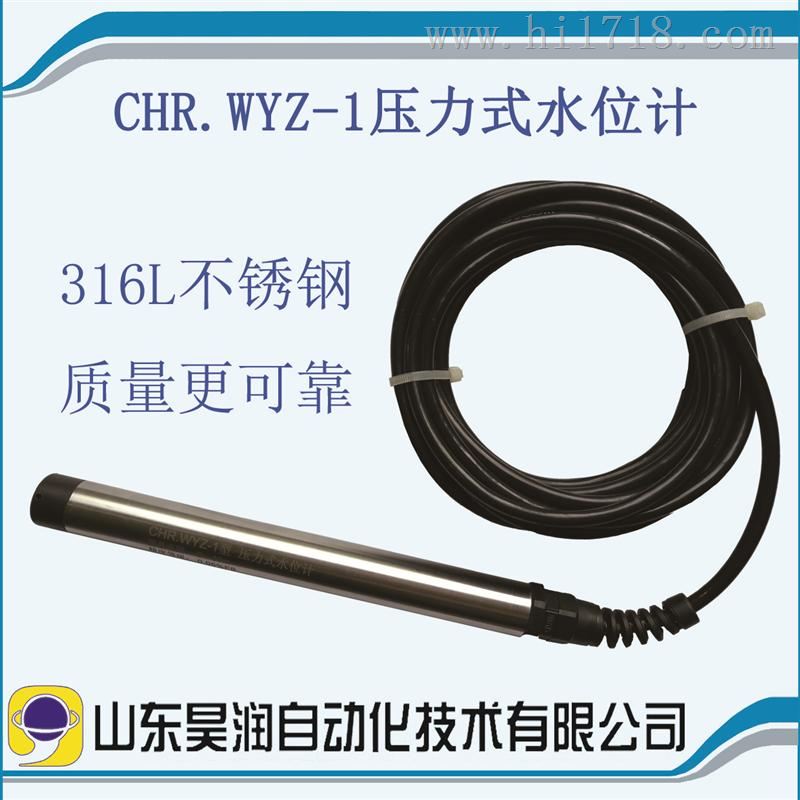 CHR.WYZ-1型压力式水位计