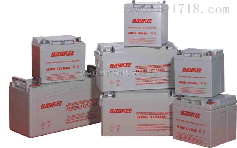 BAYKEE蓄电池650 12V250Ah 柏克（BAYKEE）蓄电池产品参数