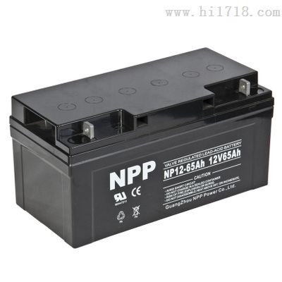 特价供应NP12-65AH  12V65AH耐普免铅酸维护蓄电池