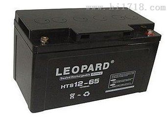 HTS12-100 UPS专用蓄电池美洲豹价格