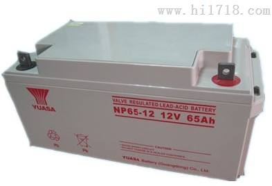汤浅蓄电池NP65-12 12V65AH参数及价格