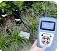 热销星晨土壤分析仪XC/TZS-ECW测量水分盐分温度