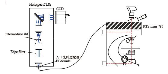 emvision高灵敏度内窥镜拉曼探头及光谱系统