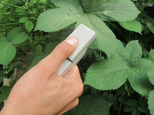 植物叶片温差测量仪SYS-TPWA