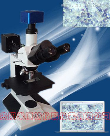 玻璃微珠测量显微镜价格