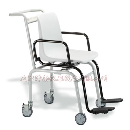 SECA956型轮椅座椅秤