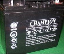 NP24-12蓄电池12V24AH