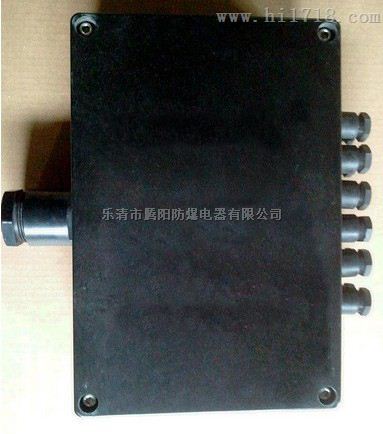 FXJ-防水防尘防腐接线箱非标