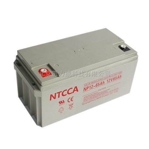 NTCCA恩科蓄电池NP12-24Ah直销