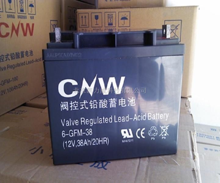 CNW储霸蓄电池6-GFM-38/12V38AH报价
