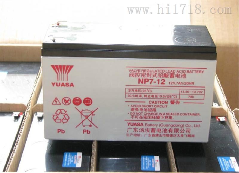 YUASA12V38AH蓄电池