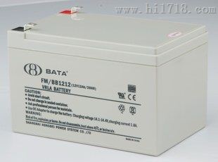 上海鸿贝蓄电池FM/BB1212T