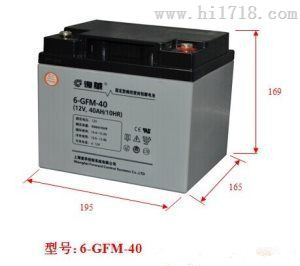 上海复华蓄电池6-GFM-33 12V33AH