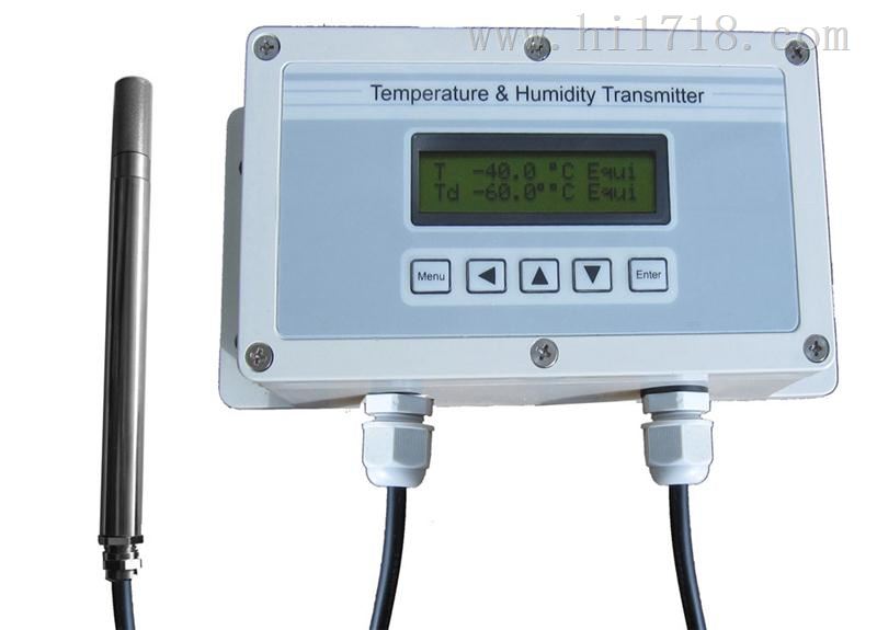 FT60S-2X在线式温湿度记录仪