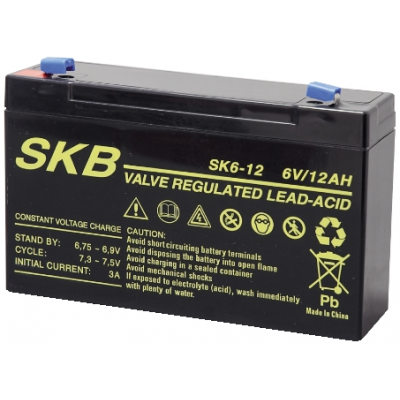 lead-battery-chargers-skb-sk6-12.jpg