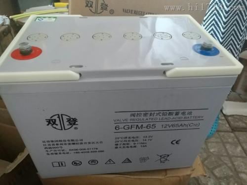 6-GFM-65双登蓄电池12V65AH产地江苏