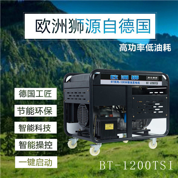 10KW-15KWcyfdj (6).jpg